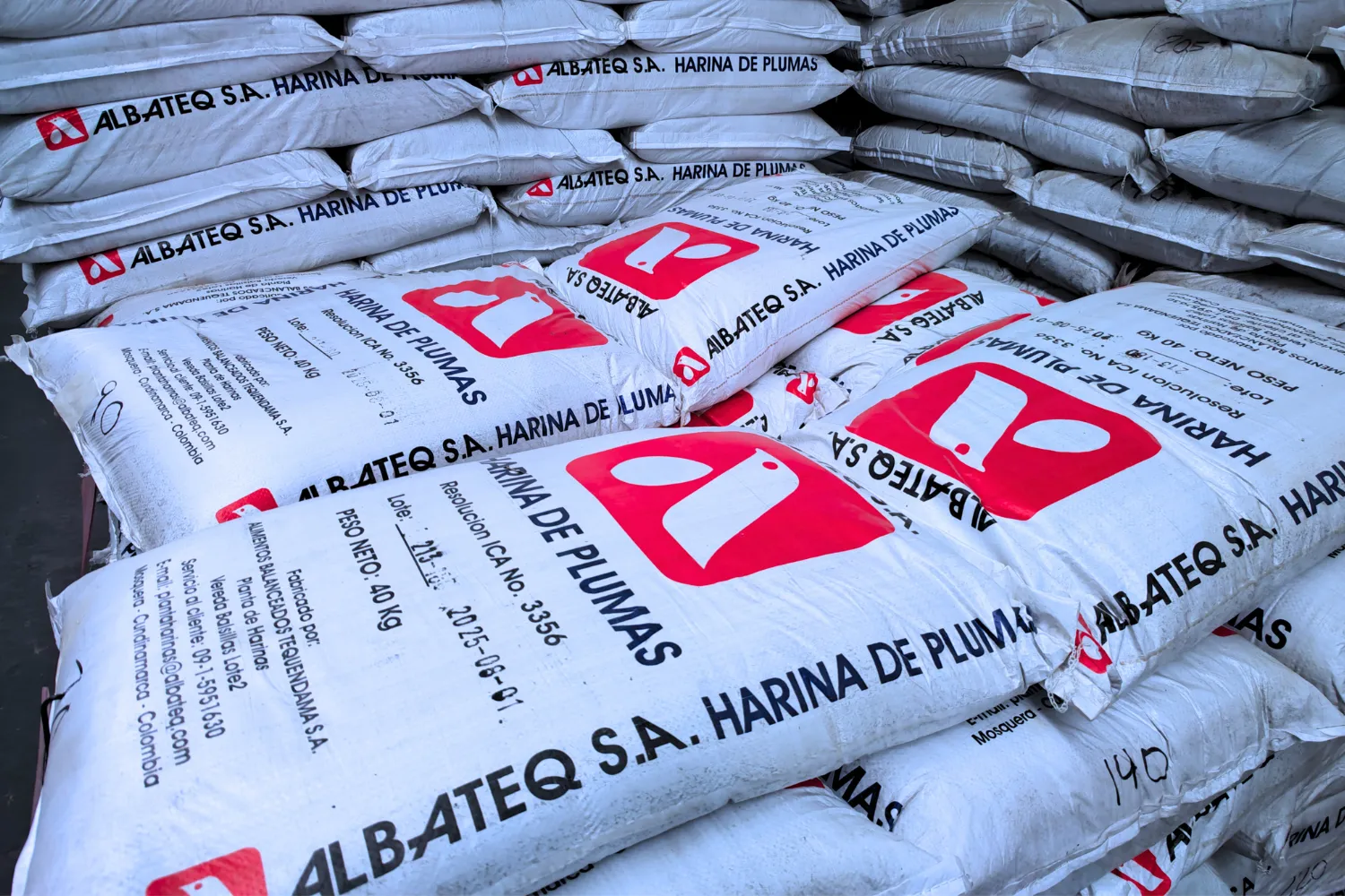 Albateq - 2025-11-02T181316.970_11zon