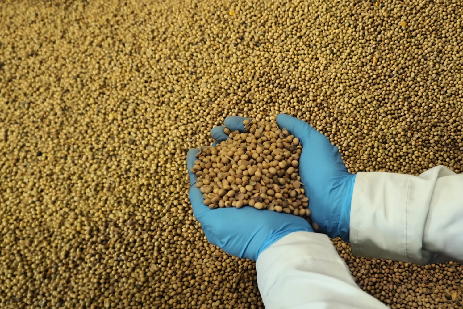 Albateq - 2025-11-02T181551.942_11zon